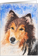 Shetland Sheepdog Fine Art Thinking of you card