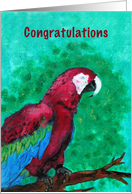 Parrot Fine Art Congratulations on Rescue Parrot card