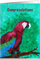 Parrot Fine Art Congratulations on New Pet Parrot card