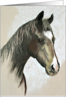 Black Horse Fine Art Blank Any Occasion card