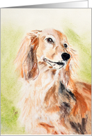 Long Haired Miniature Dachshund Fine Art Thinking of you card