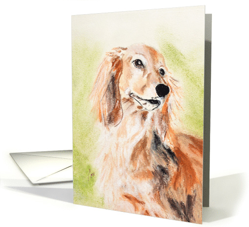 Long Haired Miniature Dachshund Fine Art Blank any occassion card