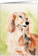 Long Haired Miniature Dachshund Fine Art Blank any occassion card