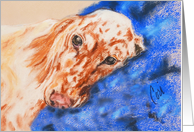 English Setter Dog Fine Art Blank any occassion card