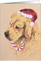 Golden Retriever Dog Fine Art Santa Christmas Holiday card