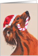 Dachshund Dog Art Fine Art Christmas Holiday card