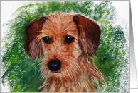 Wire Haired Dachshund Dog Art Fine Art Thinking of you card