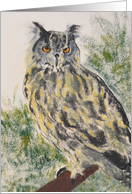 Owl Bird Fine Art Blank any occasion card