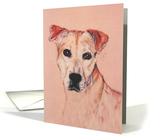 Pit Bull American Staffordshire Terrier Fine Art Blank... (1681138)