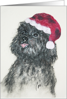 Black Toy Poodle Fine Art Christmas Happy Holidays card