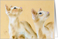 Two Siamese Cats Fine Art Blank Any Occasion card