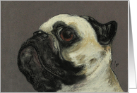 Pug Dog Fine Art Blank Any Occasion card