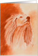 Saluki Sighthound Dog Fine Art Blank Any Occasion card