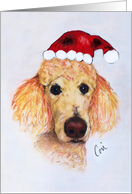 Standard Poodle Dog Christmas Holiday Fine Art card