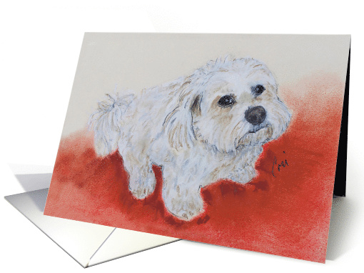 Coton de Tulear Small White Dog Fine Art Thinking of you card