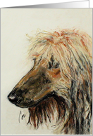 Afghan Hound Dog Fine Art Blank any Occasion card