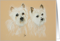 West Highland Terrier Westie Dog Fine Art Thinking of you card