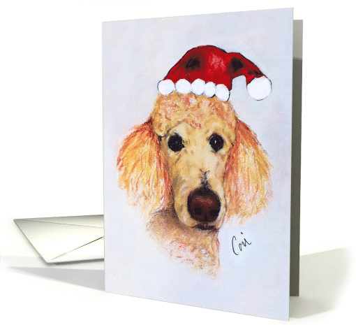 Standard Poodle Christmas Holiday Fine Art card (1803036)
