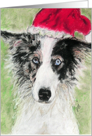 Santa Blues Border Collie Christmas card