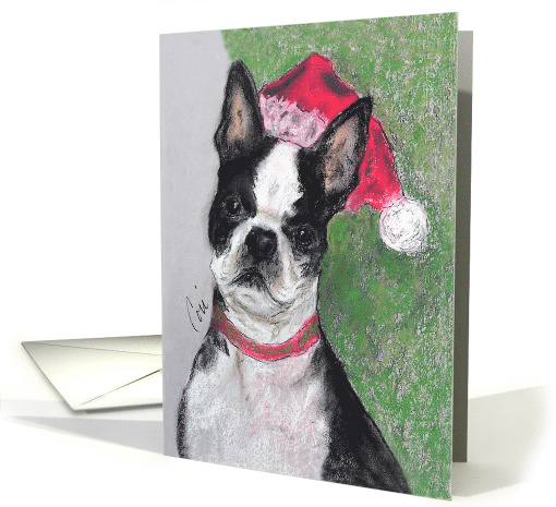 Boston Terrier Christmas Holiday card (717704)