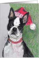 Boston Terrier Christmas Holiday card