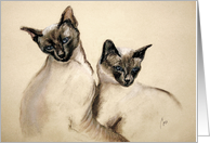 Sibling Love Siamese Cats Kittens Valentine card