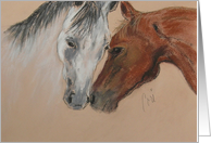 Happy Anniversary Two Arabian Horses Head To Head Equine card