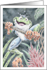 Birthday Tree Frog card