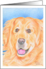 Birthday Golden Retriever card