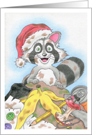 Christmas Raccoon