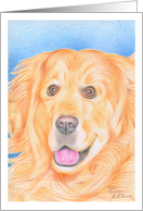 Birthday Golden Retriever card