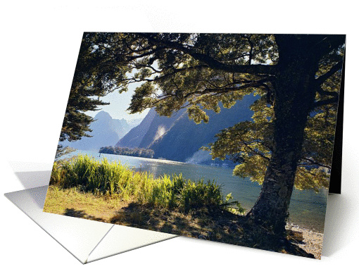 Milford Sound card (721100)