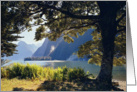 Milford Sound card