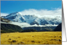 Mount Sefton card