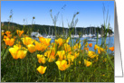 WESTSOUND SUMMER DAY ORCAS ISLAND card