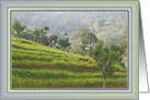 PEACEFUL TERRACED HILLS OF NEPAL card