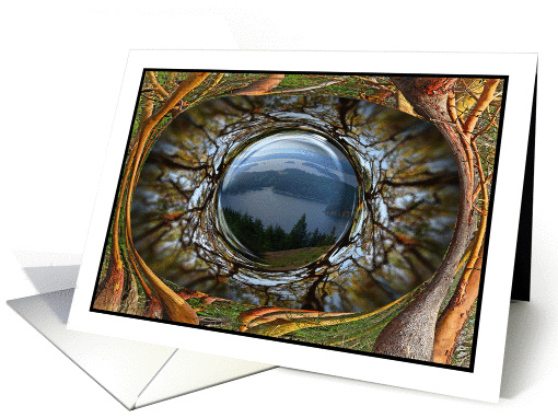THE EYE OF TURTLEBACK card (1201550)
