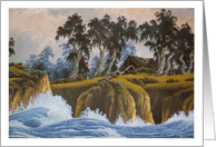 Hello From The Eucalyptus Coast card