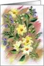 Daisies, Daisies Blank Note Card