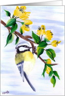 Sherry’s Song Three Nut Hatch bird on flowering branch Blank Note Card