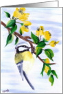 Sherry’s Song Three Nut Hatch bird on flowering branch Blank Note Card