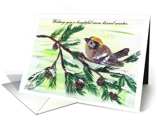 Snow Kissed bird on pine branch with snow card (735504)