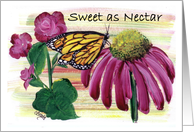 Sweet as Nectar butterfly on flower card