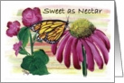 Sweet as Nectar butterfly on flower card