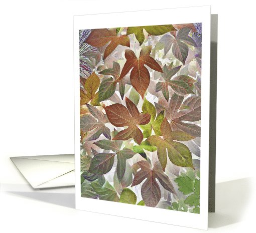 Garden Abstract, Blank Note card (729904)