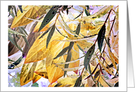 Garden Abstract, Blank Note Card