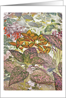 Garden Abstract, Blank Note Card