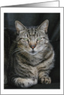 Ozzie the Tabby Cat Blank Note Card
