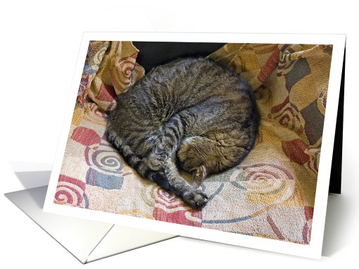 Fritz the Tabby Cat Asleep Blank Note card (729930)