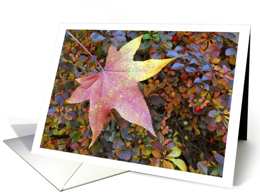 Fall Sweet Gum Leaf on a Colorful Boxwood -Hopkins Poem Inside card